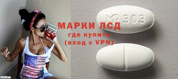 индика Мегион