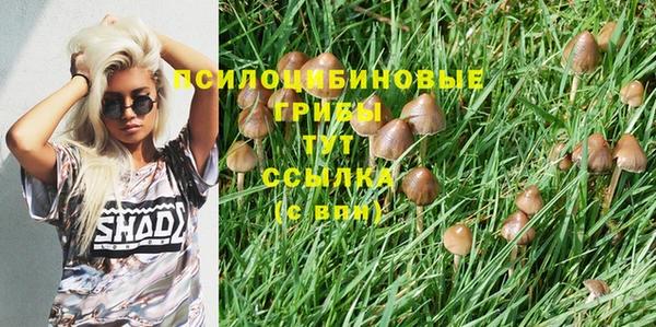 крисы Михайлов
