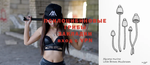 эйфоретик Бутурлиновка